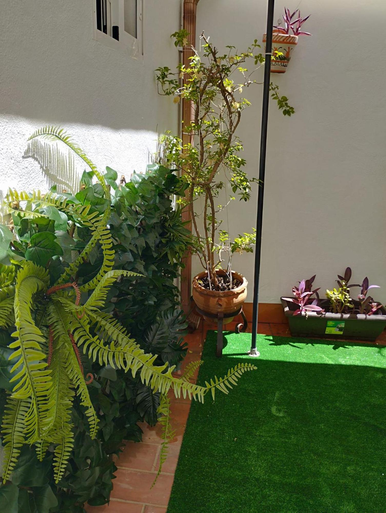 Patios Con Encanto Córdoba Eksteriør billede