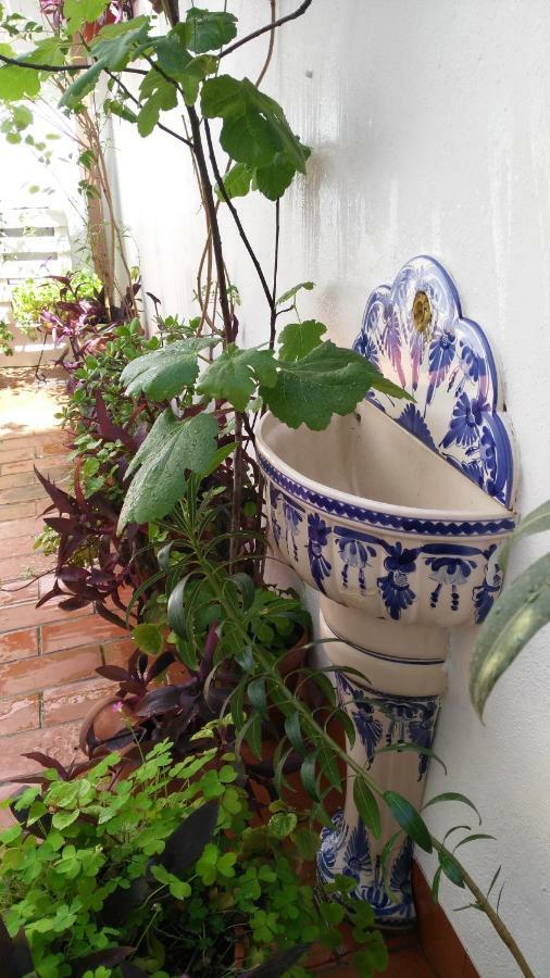 Patios Con Encanto Córdoba Eksteriør billede